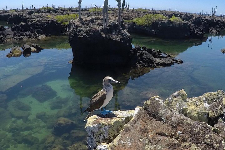 6-Day Land Tour in San Cristobal & Santa Cruz: Kicker Rock, Floreana & Santa Fé - Photo 1 of 14